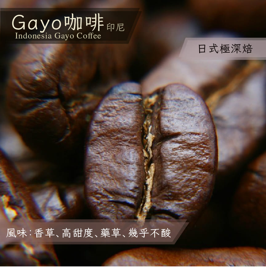 Gayo海龜曼特寧咖啡_半磅