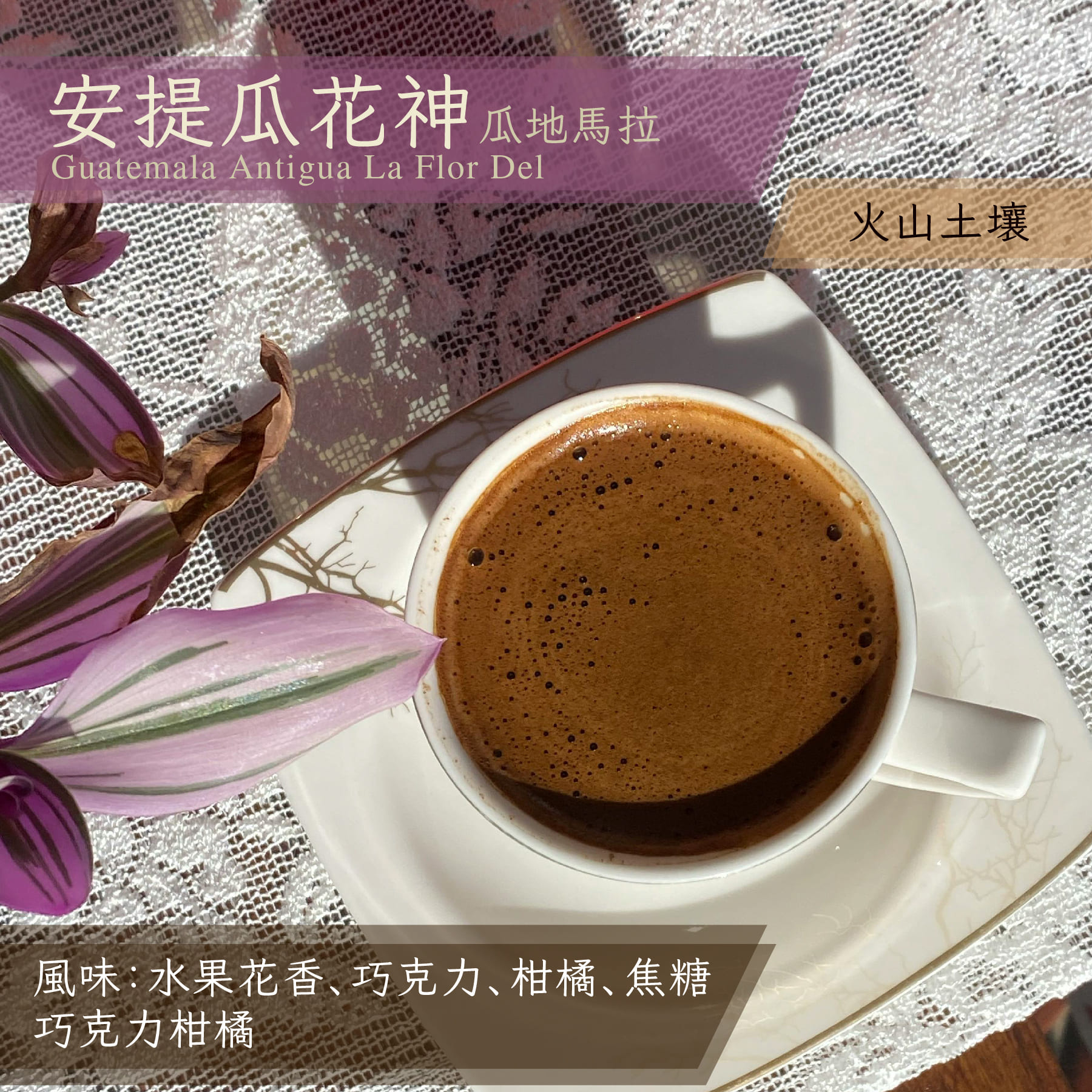 瓜地馬拉 安提瓜 花神_半磅