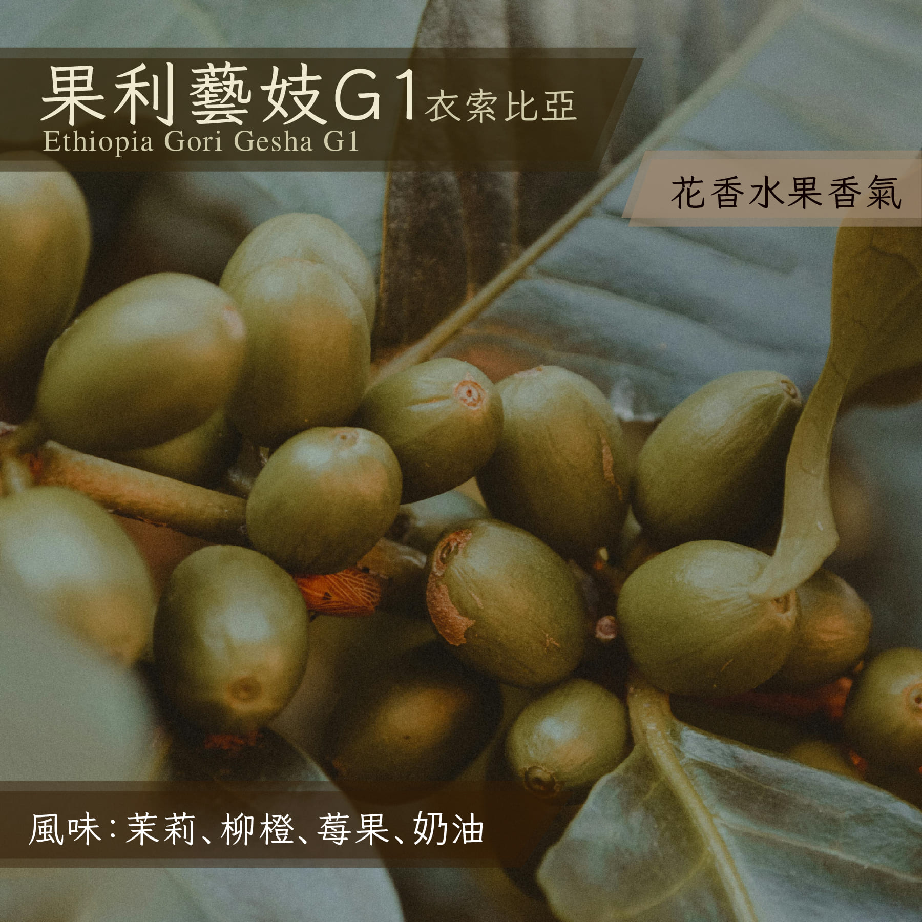 衣索比亞 果利藝妓 G1_1/4磅