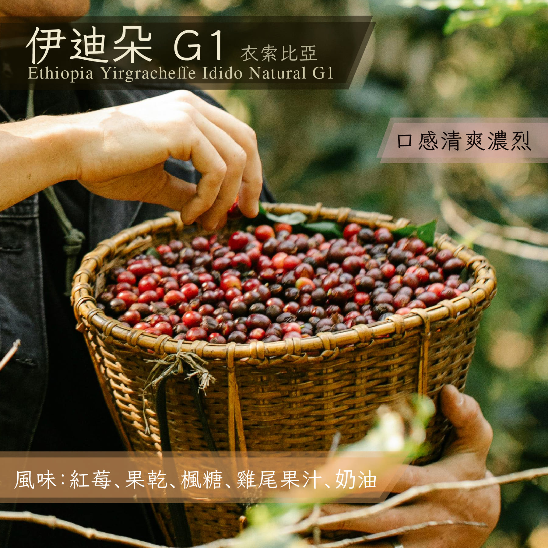 衣索比亞 伊迪朵 G1_1/4磅