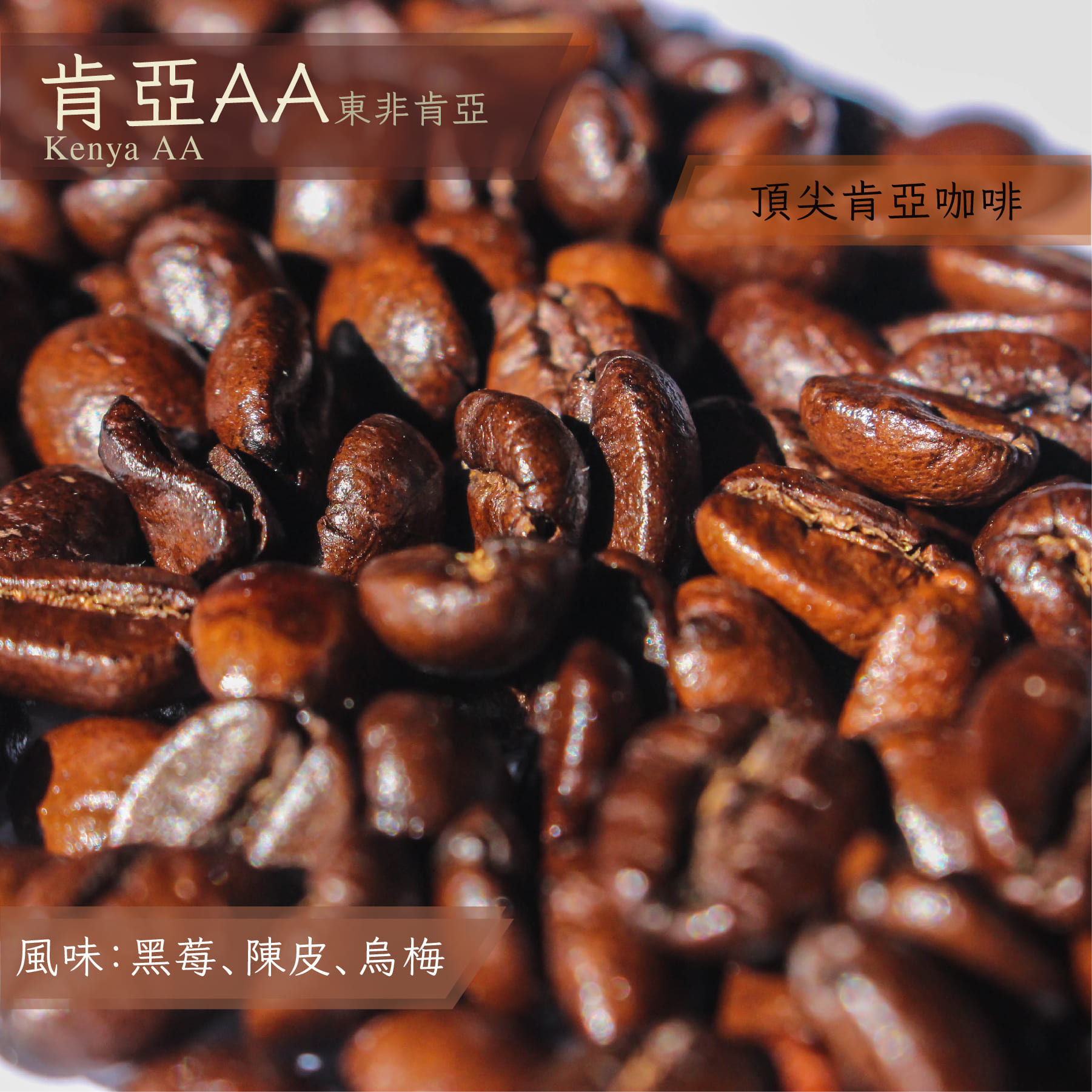 肯亞AA FAQ 產地雙次首選 水洗_一磅